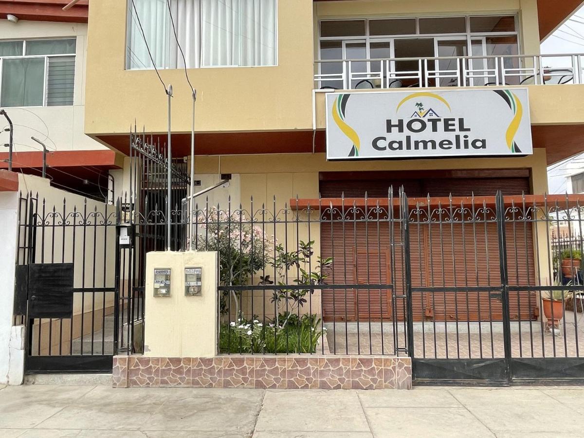 Hotel Calmelia Piura Zewnętrze zdjęcie